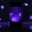 Jellyfish Aquarium