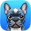 Pulldog