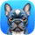 Pulldog