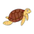 Caretta