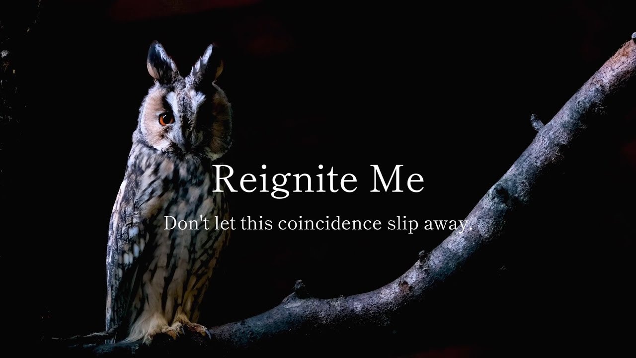 ReigniteMe gallery image