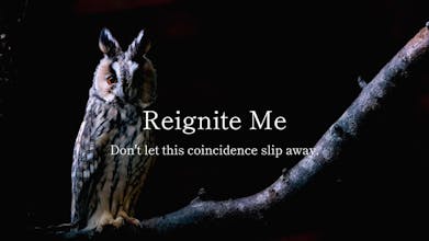 ReigniteMe gallery image