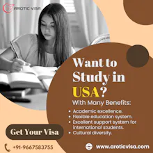 Arotic Visa gallery image
