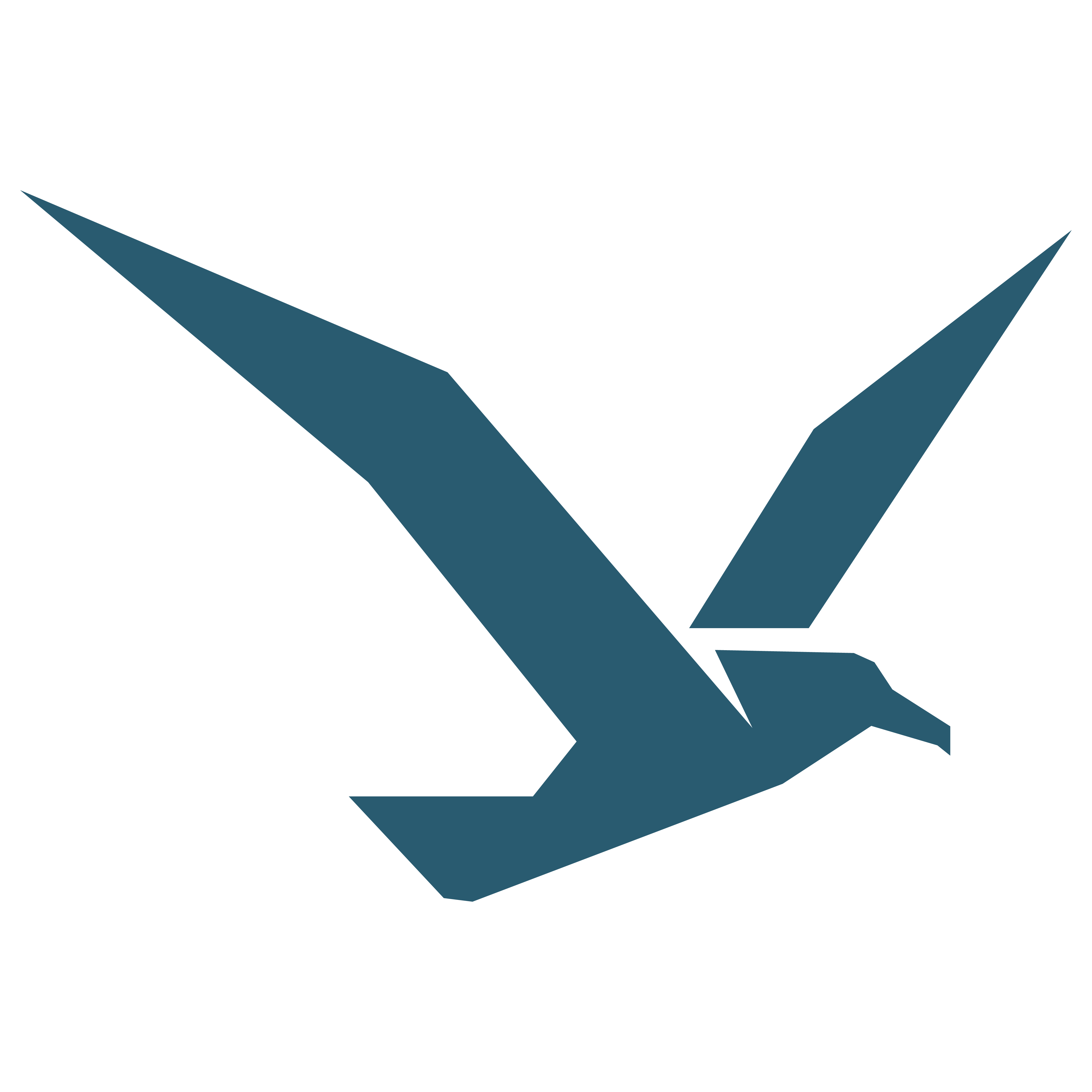 Albatross by Terrabit - Product Hunt launch logo and brand identity