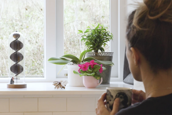 UPLIFT gallery image