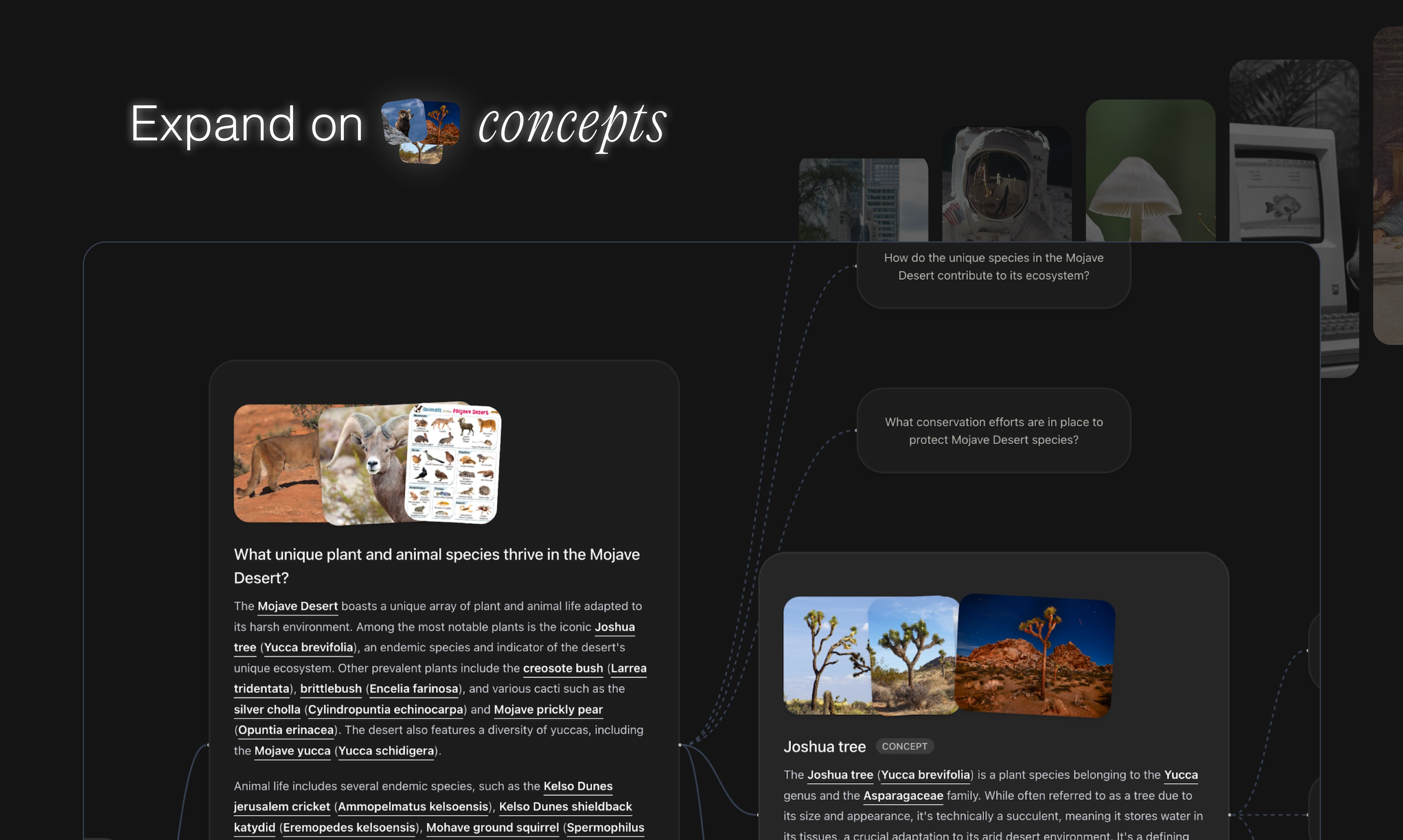 Rabbithole gallery image