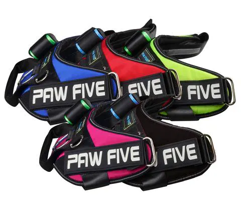 Dog Harness| Paw-five - Product Information, Latest Updates, and ...