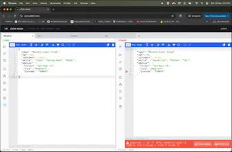 JSON Wallet Free Online JSON Editor gallery image