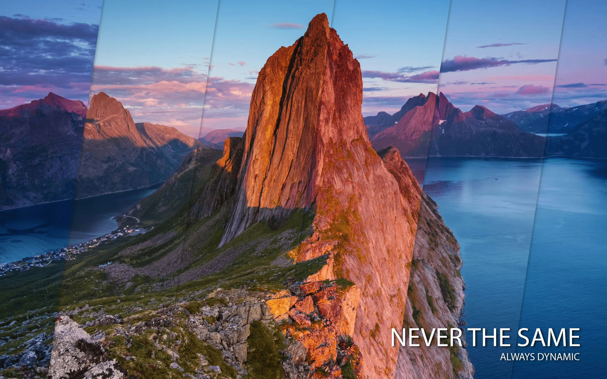 Dynamic wallpaper gallery image