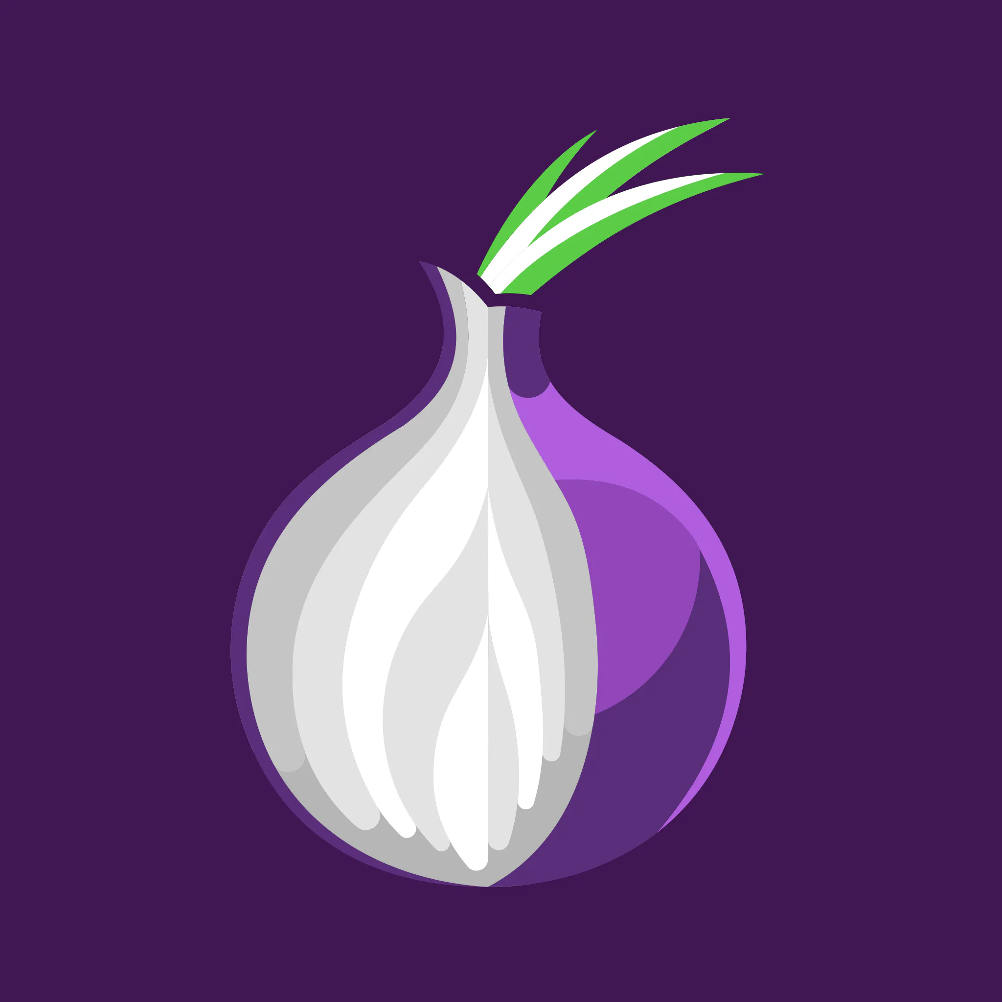 Tor Browser Private Web + VPN