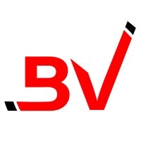 BYTEVIX: Agência de mídia social solo