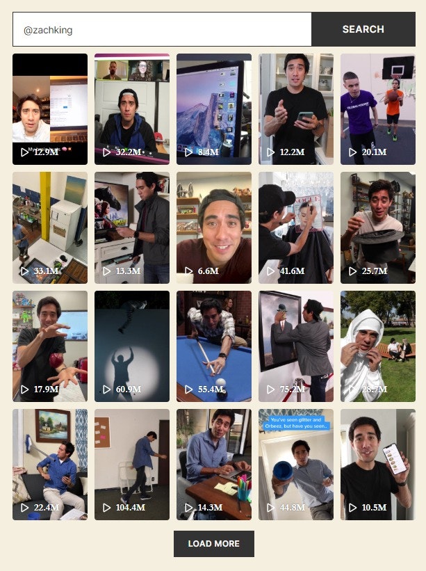 TikTok Video Downloader Non Watermarrk gallery image
