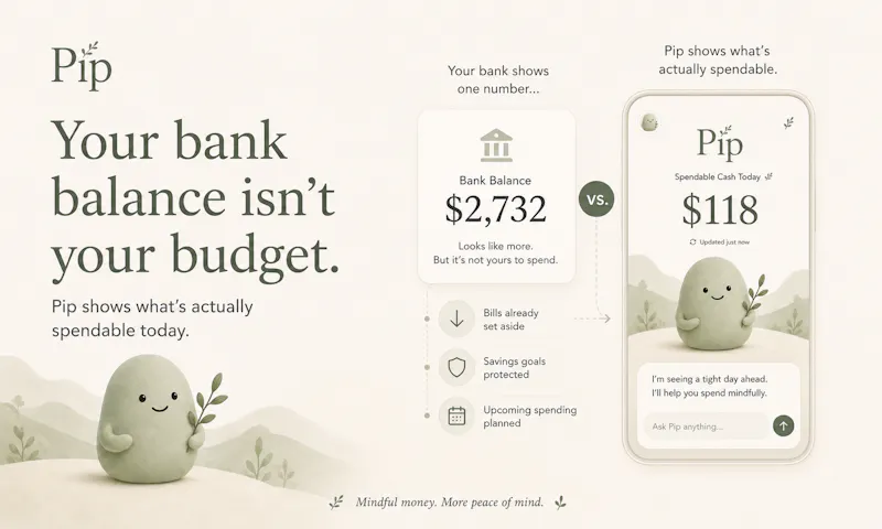 Pip screenshot 2