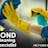 Bond Cleaning Services