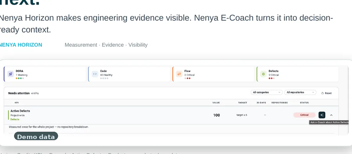 Nenya Horizon + E-Coach gallery image