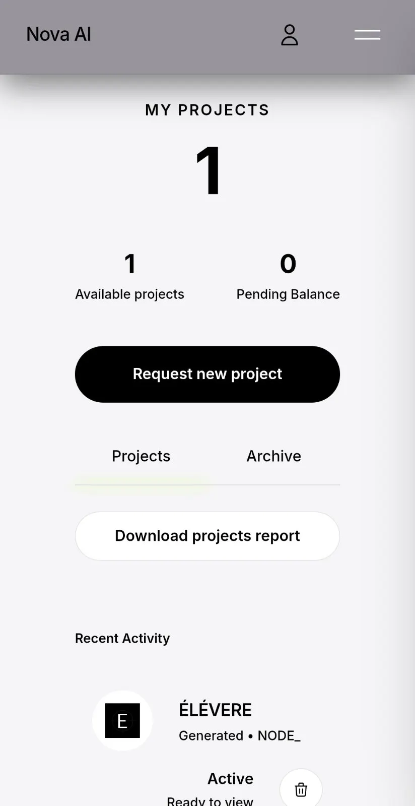 Nova AI gallery image