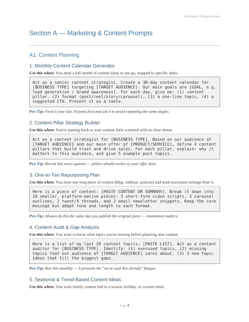 AI Business Prompt System screenshot 2