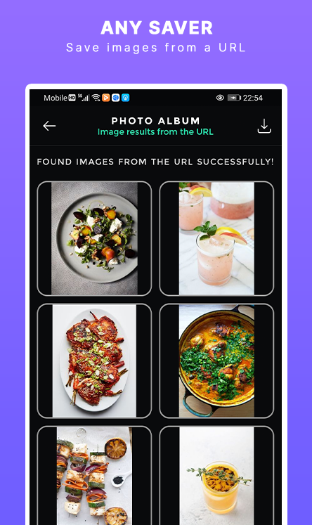 Img Downloader gallery image