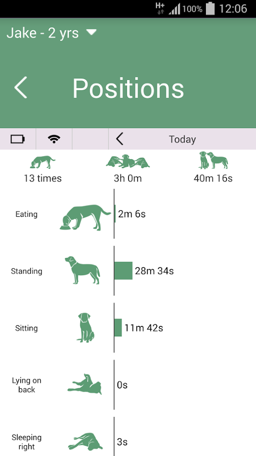 Pet Pace gallery image