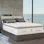 Shop PlushBeds Organic Mattress