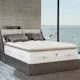 Shop PlushBeds Organic Mattress