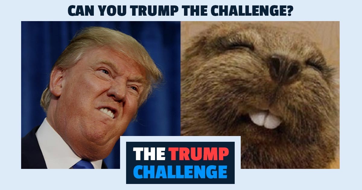 The Trump Challenge gallery image