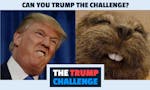 The Trump Challenge image