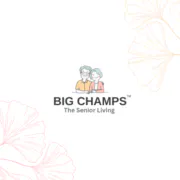 Big Champs