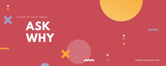 Askwhy gallery image