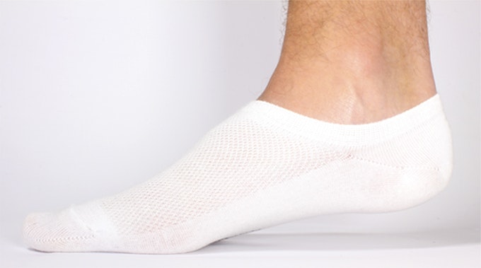 SilverSocks Image