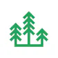 The Silicon Forest