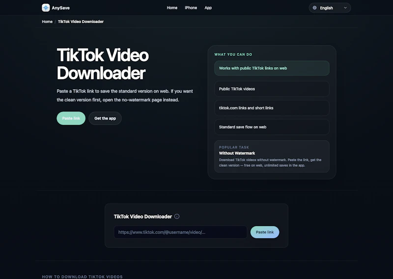 AnySave screenshot 1