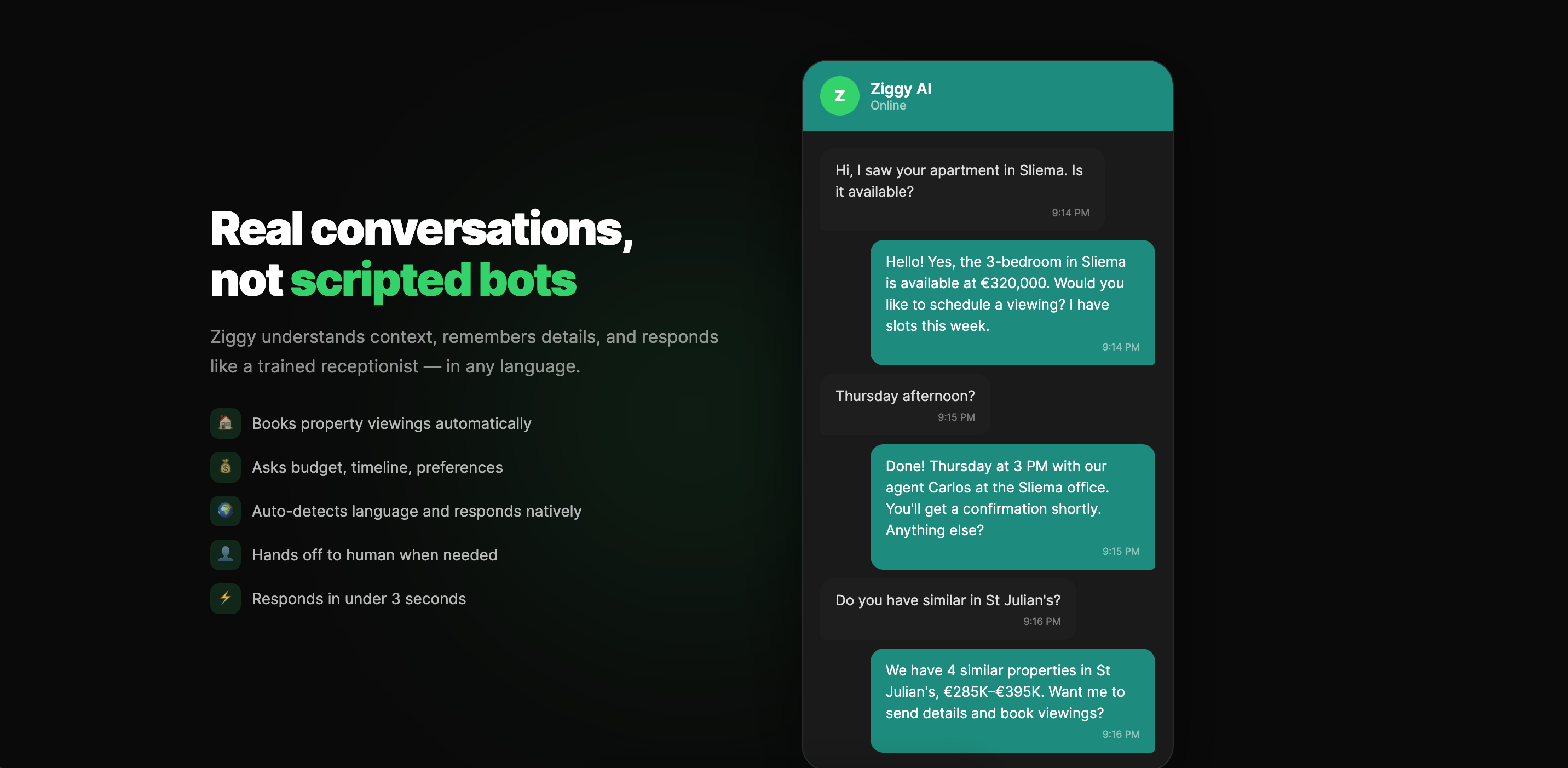 Ziggy AI  gallery image