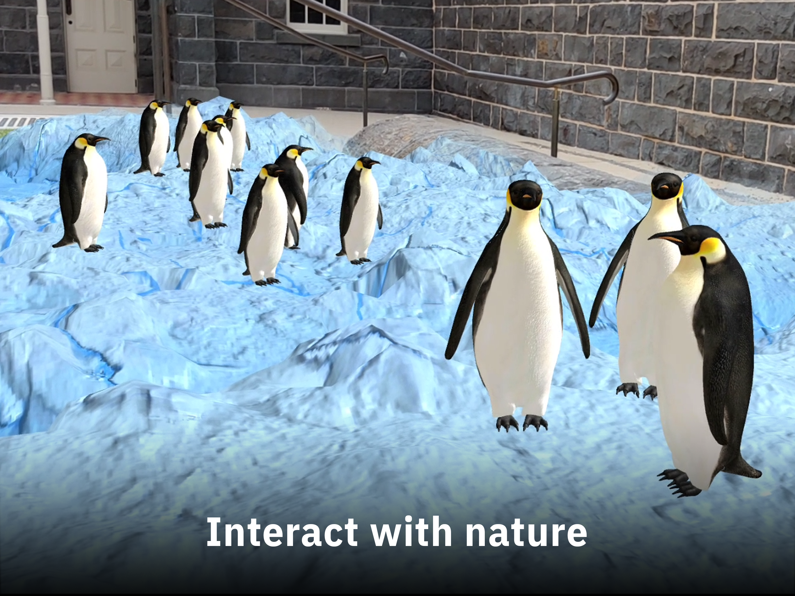 REWILD gallery image