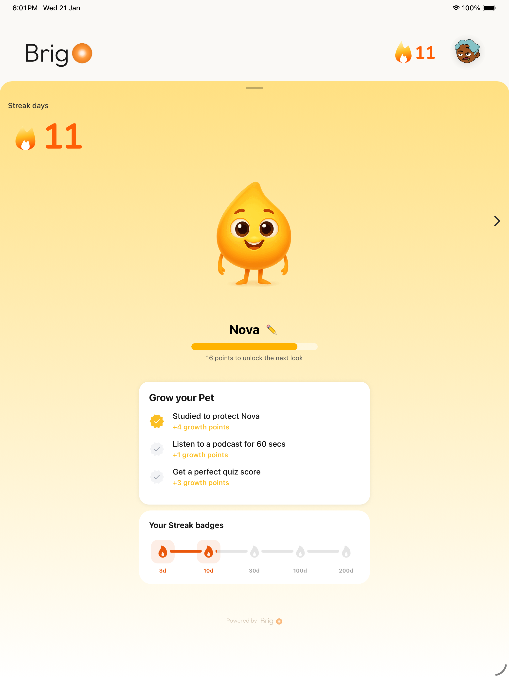 Brigo - Screenshot 2 showing product features and functionality