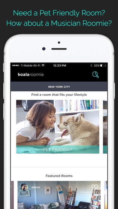 Koala Roomie gallery image