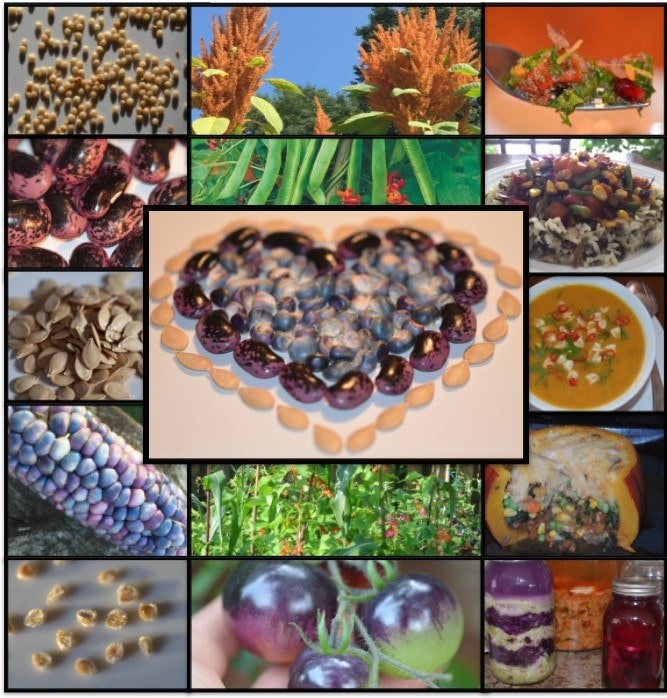 Recipes For Reciprocity 