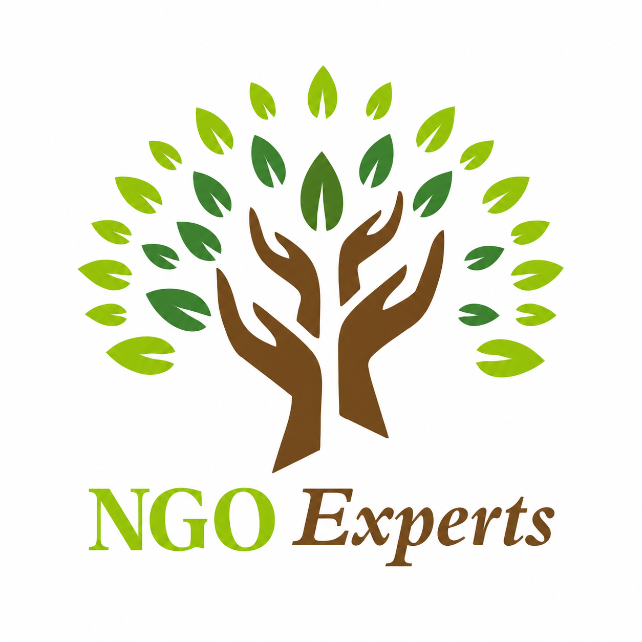 NGOExperts gallery image