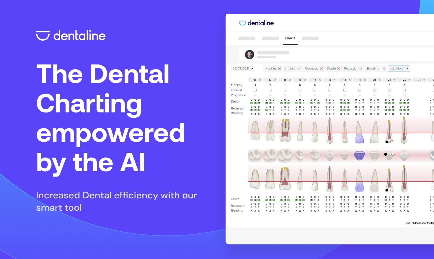 Dentale media 1