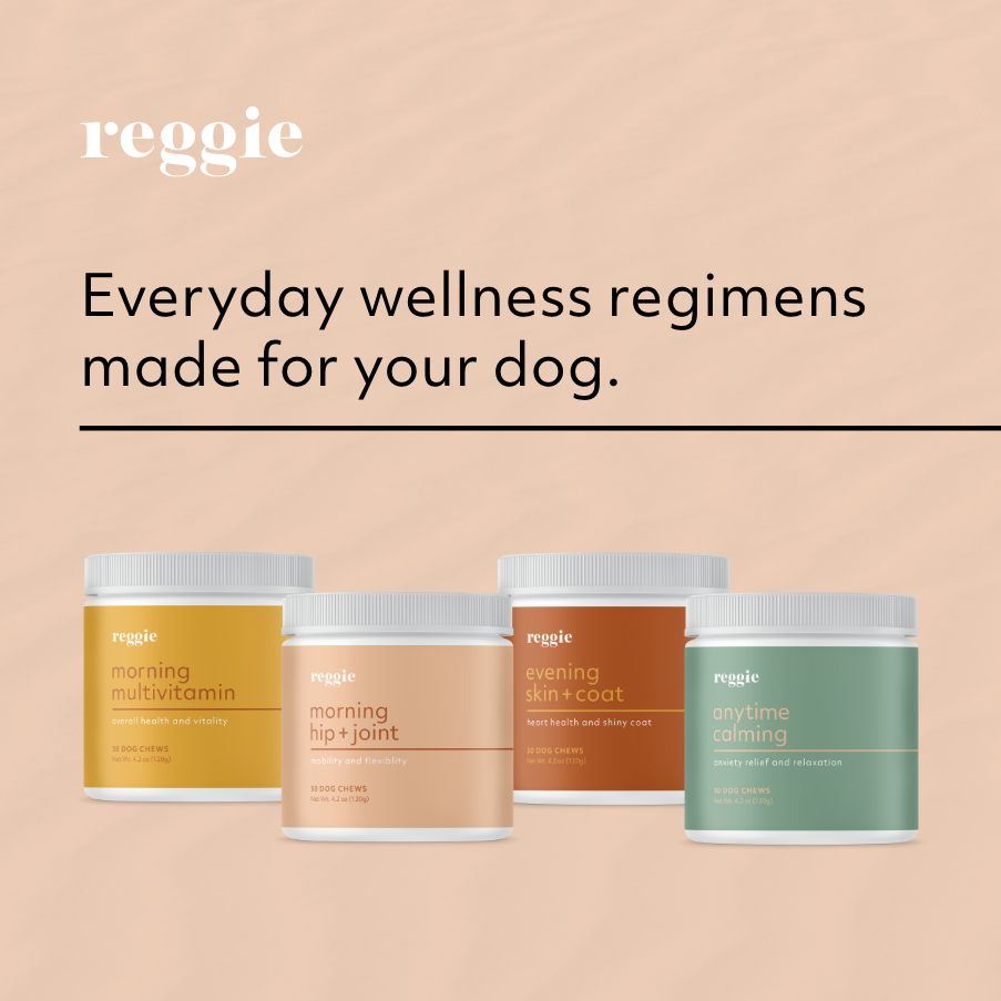 Reggie gallery image