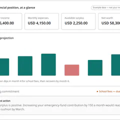 Financial Life Planner