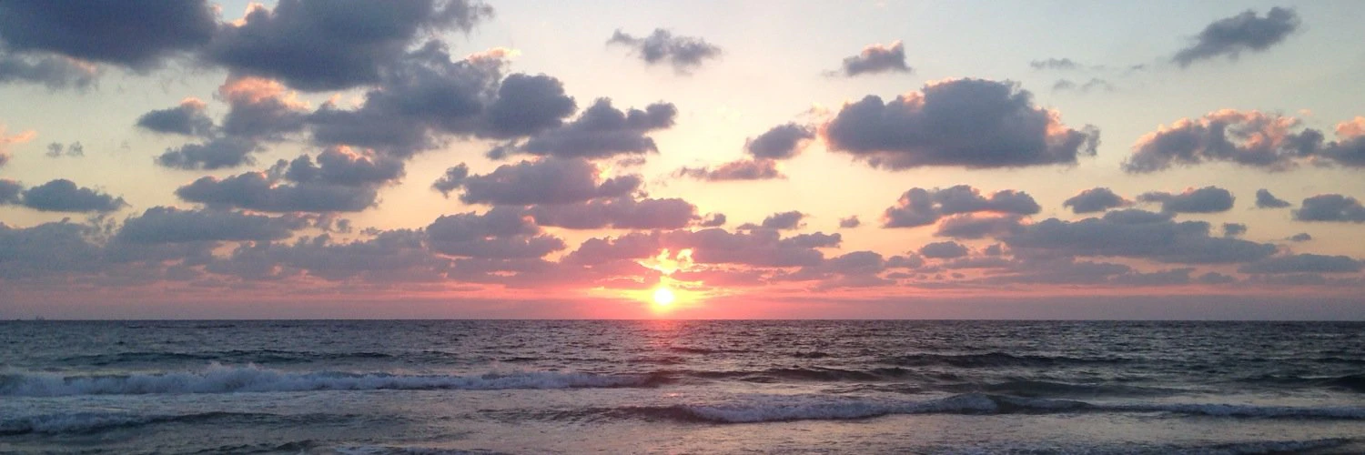 Tal Morgentsern cover