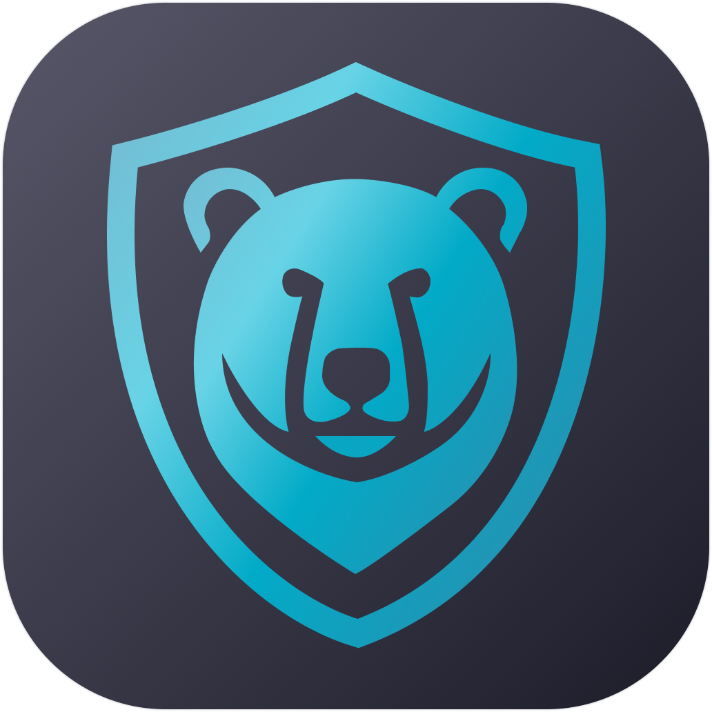 Bear VPN media 1