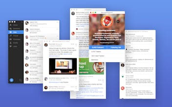 Bluebird gallery image