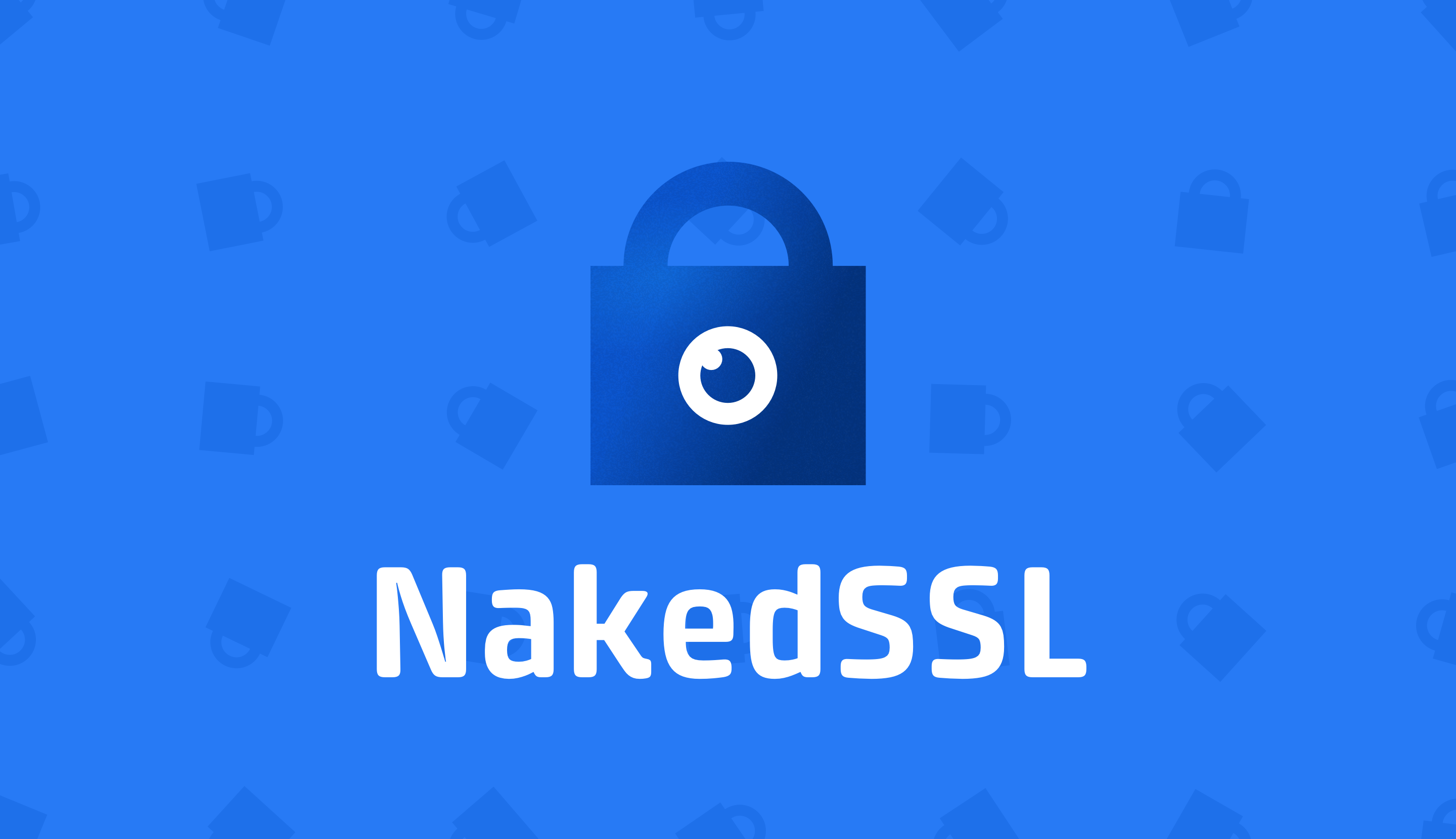 NakedSSL gallery image