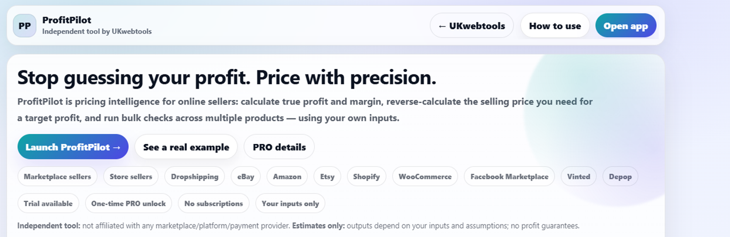 ProfitPilot - Product Hunt launch logo and brand identity