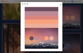 colorpalettes.earth gallery image