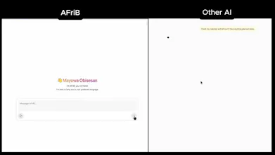 AFriB gallery image
