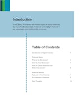 Huincoin gallery image