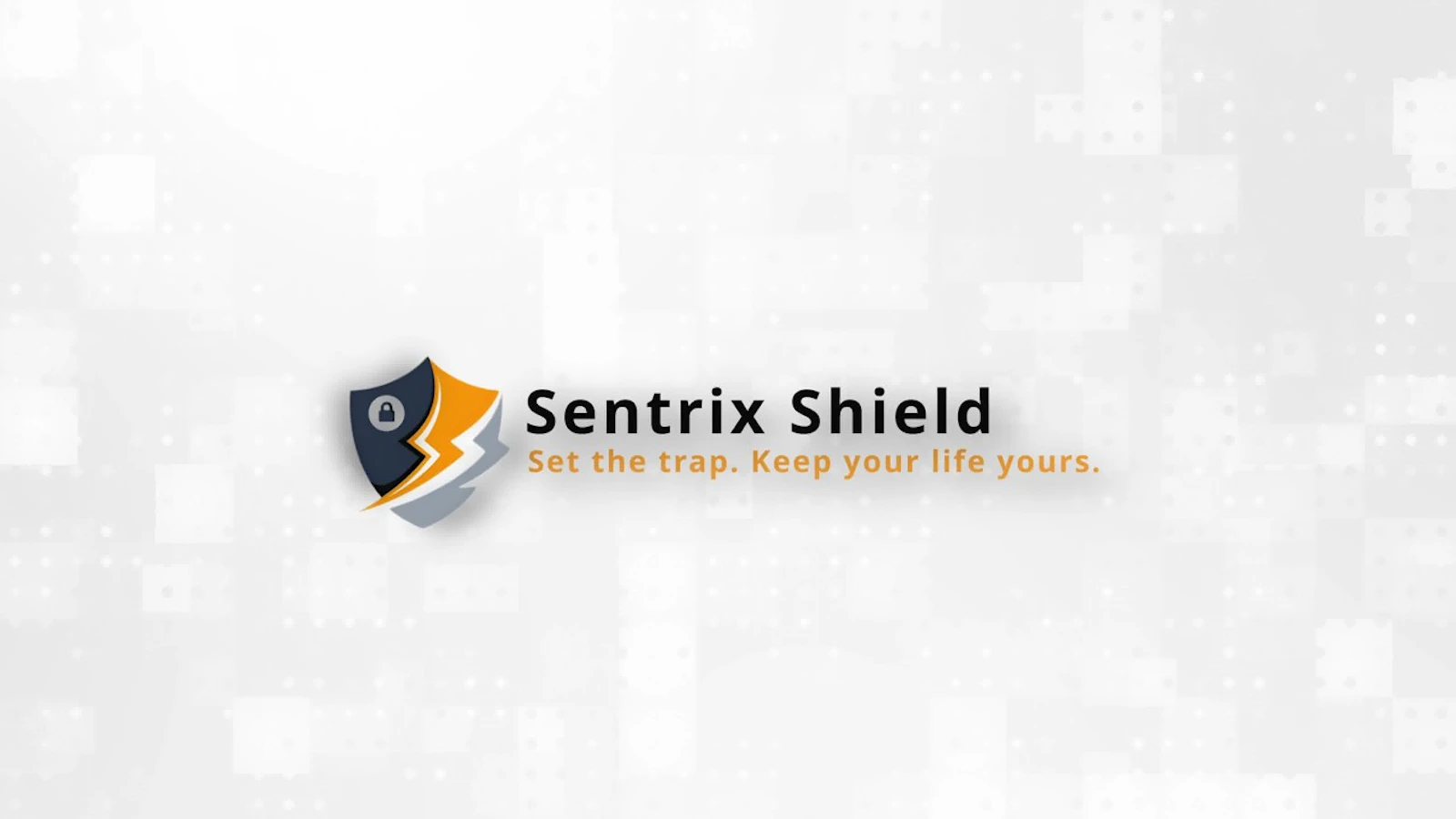 Sentrix Shield screenshot 1 (video preview)